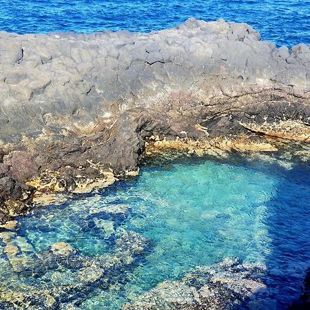 Finca Los Loros Icod De Los Vinos By Hrtenerife Net Santa Cruz de Tenerife Eksteriør billede