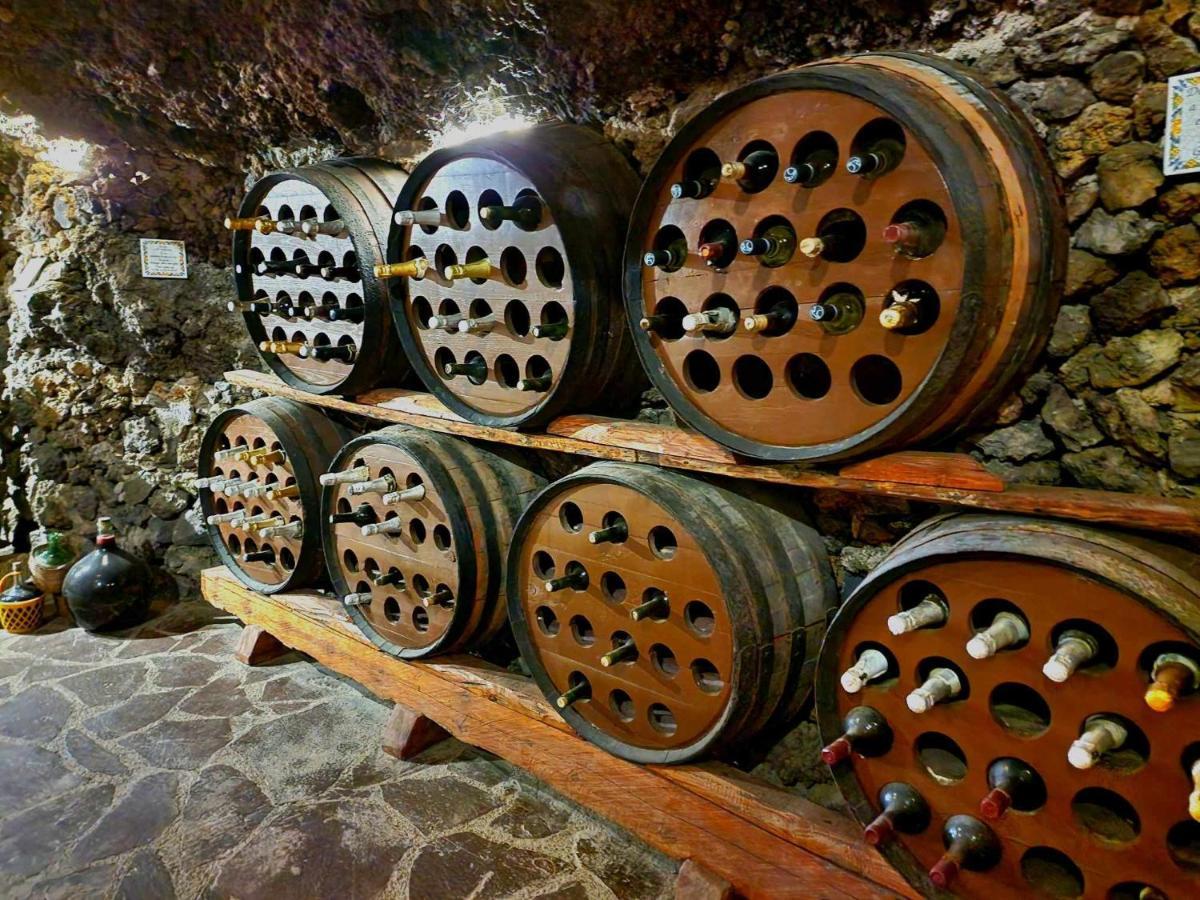 Finca Los Loros Icod De Los Vinos By Hrtenerife Net Santa Cruz de Tenerife Eksteriør billede