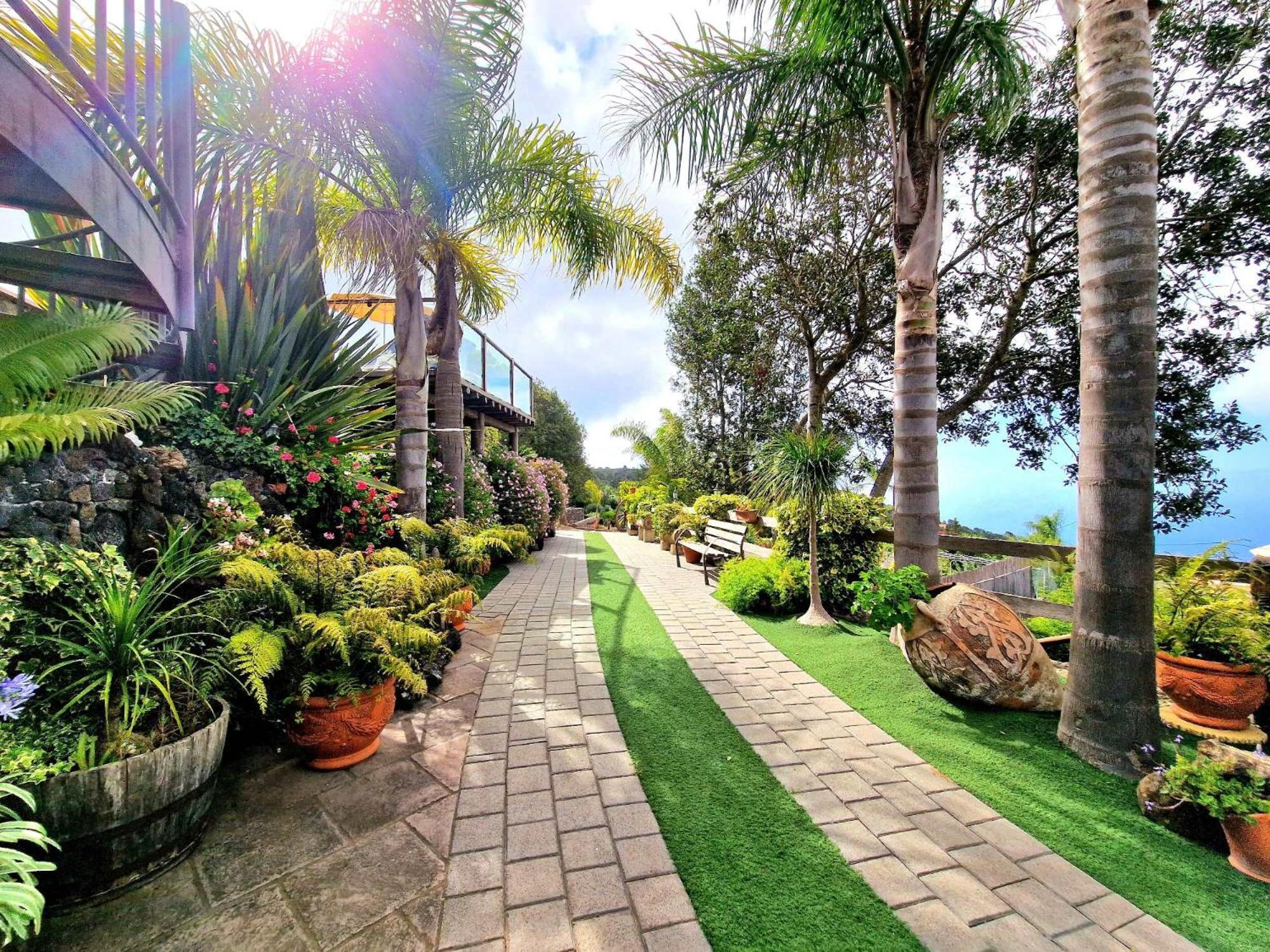 Finca Los Loros Icod De Los Vinos By Hrtenerife Net Santa Cruz de Tenerife Eksteriør billede